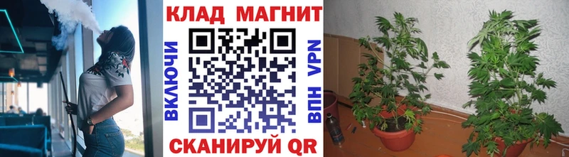 Цена Ревда Cocaine  Гашиш  Амфетамин  Конопля  LSD-25  Альфа ПВП 