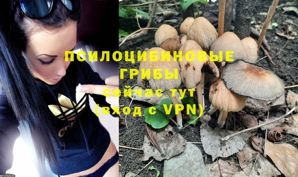 ALPHA PVP Алзамай
