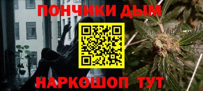 прущие грибы Заводоуковск
