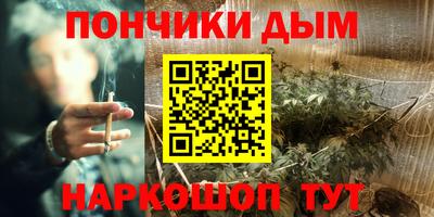 прущие грибы Заводоуковск