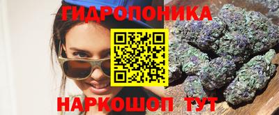прущие грибы Заводоуковск