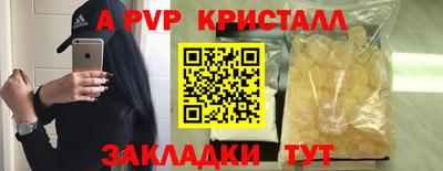 прущие грибы Заводоуковск