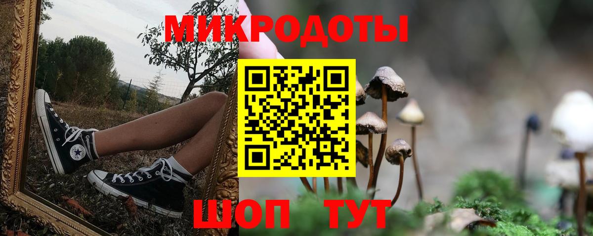 Галлюциногенные грибы Magic Shrooms Ревда