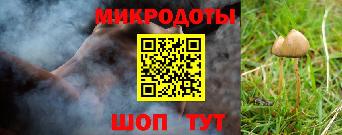 сколько стоит  Вход с VPN  Ревда  Галлюциногенные грибы GOLDEN TEACHER 